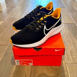 Nike Zoom Pegasus 39-Steelers